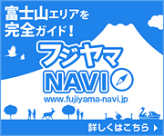 �t�W���}NAVI