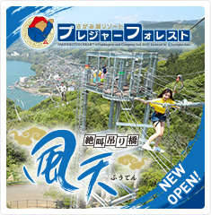 さがみ湖リゾートプレジャーフォレスト　絶叫吊り橋風天