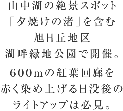 600mの紅葉回廊を赤く染め上げる日没後のライトアップは必見。