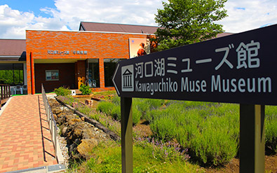 พิพิธภัณฑ์มิวส์คาวากุจิโกะ