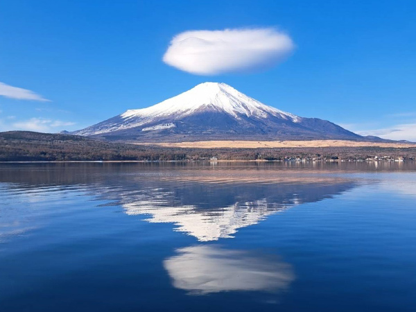 223（ふじさん）まつり