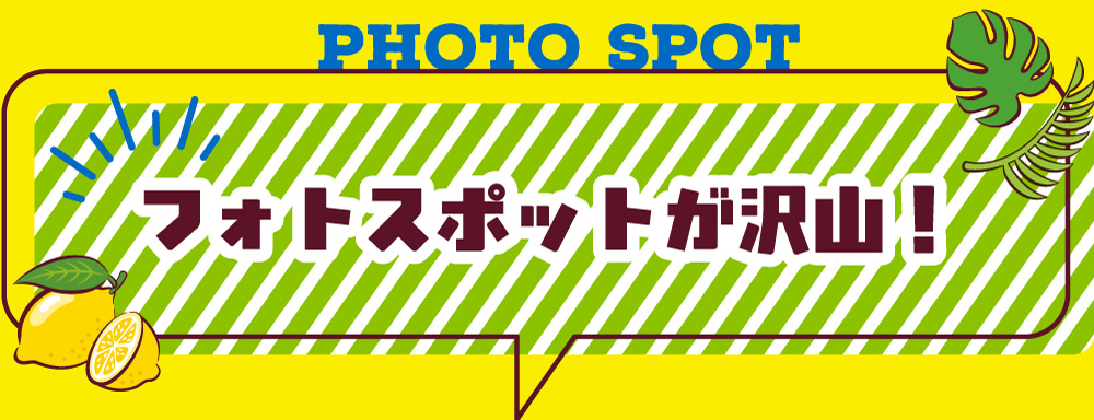 フォトスポットがたくさん